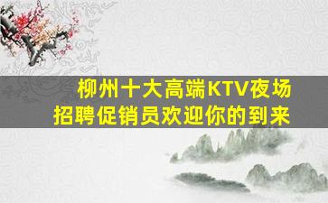 柳州十大高端KTV夜场招聘促销员欢迎你的到来